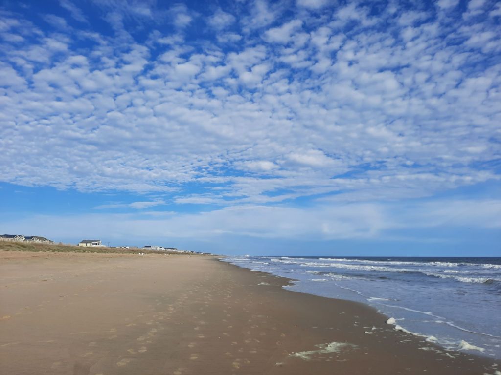 20241110_0903486385295972692461443