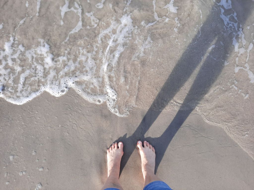 20241230_0955429205326633167889260