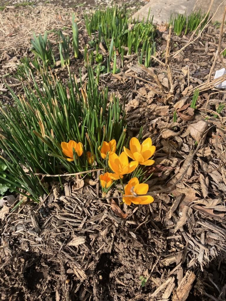 img_0436352519294558237444