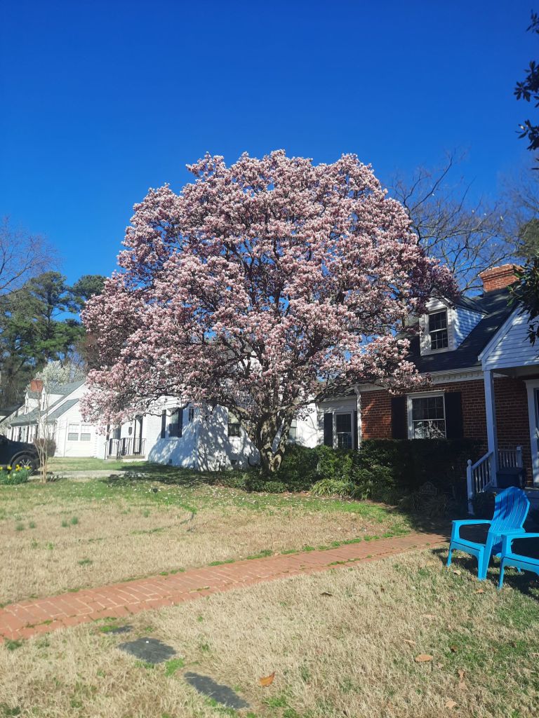 20260310_1611054670936050099272654